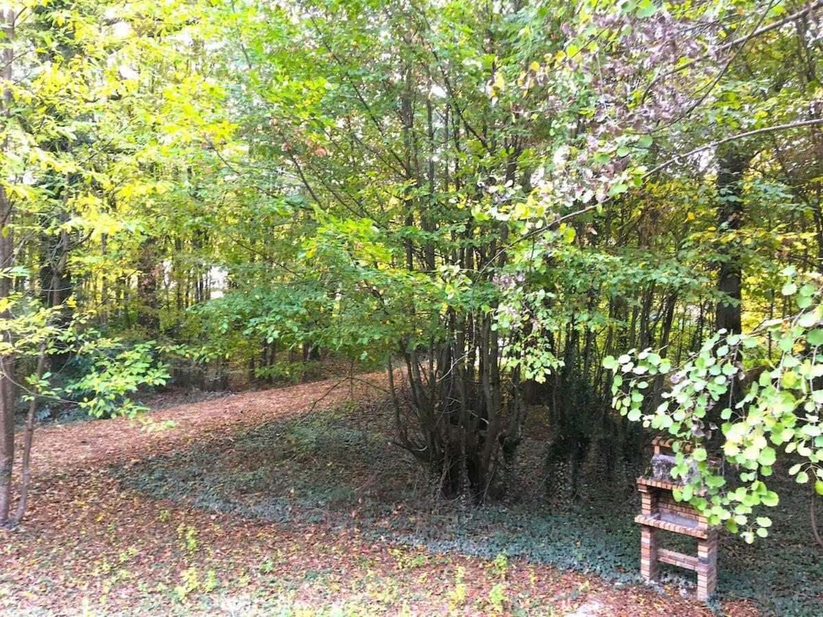 Holy Wood Villa Chuelles Bagian luar foto